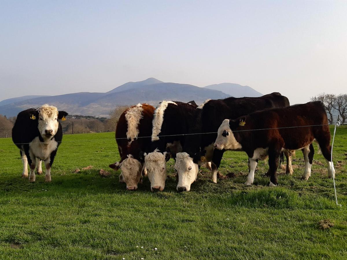 Inveraray Farm Beaufort Eksteriør billede