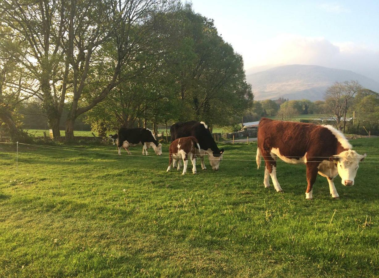 Inveraray Farm Beaufort Eksteriør billede